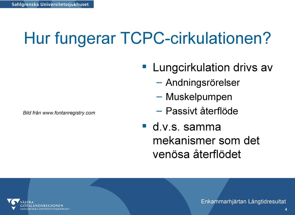 com Lungcirkulation drivs av Andningsrörelser