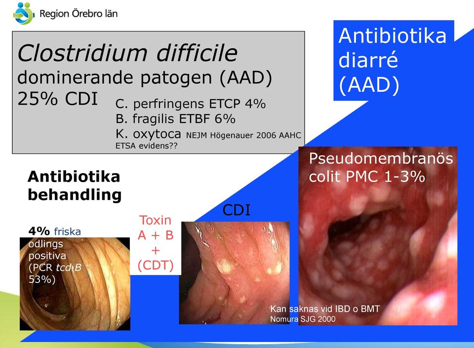 oxytoca NEJM Högenauer 2006 AAHC ETSA evidens?