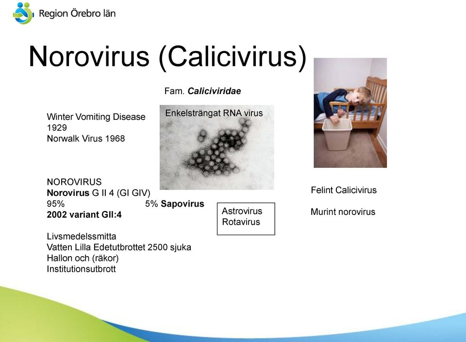 virus NOROVIRUS Norovirus G II 4 (GI GIV) 95% 5% Sapovirus 2002 variant GII:4