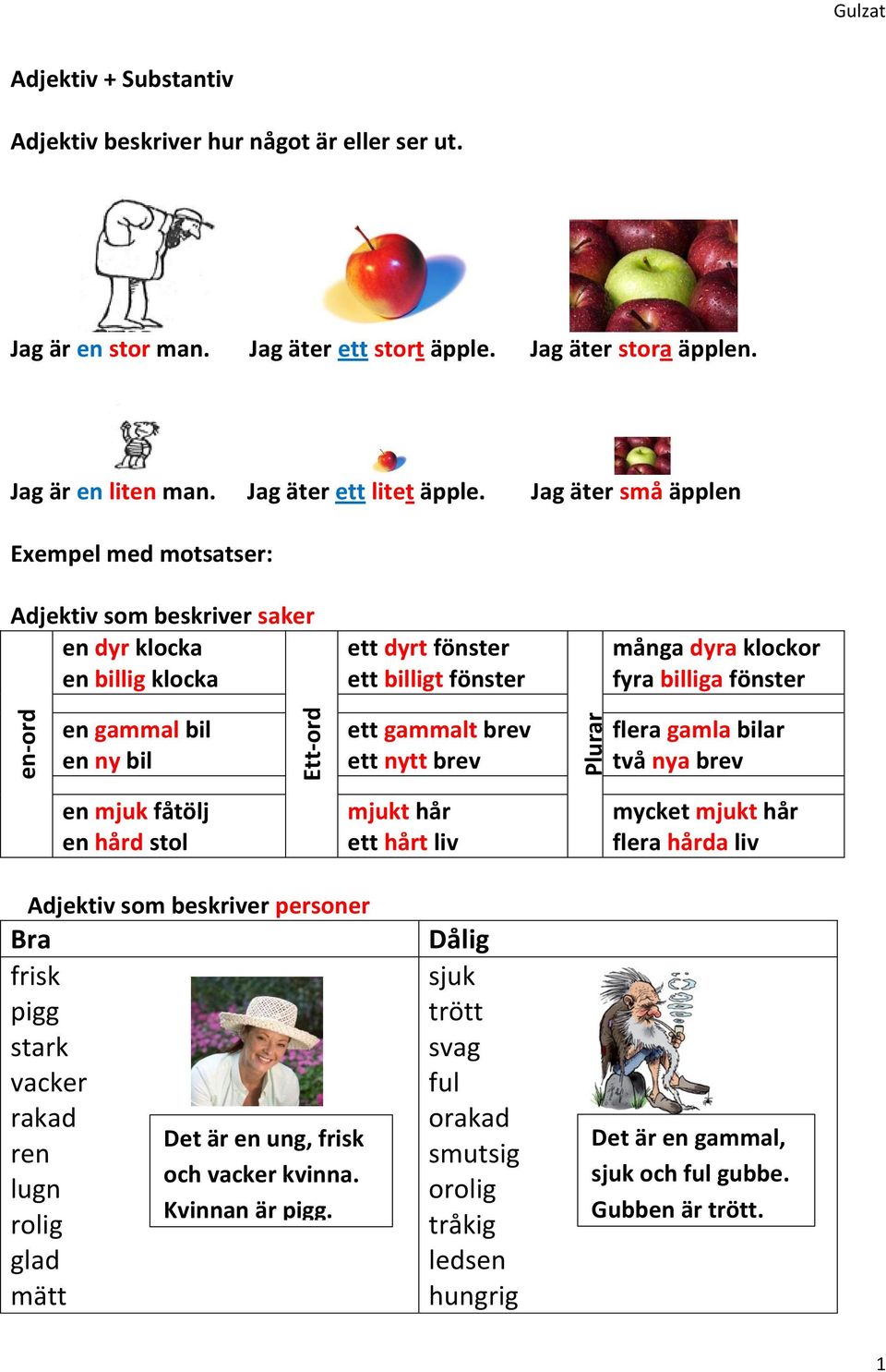 Jag äter små äpplen Exempel med motsatser: Adjektiv som beskriver saker en dyr klocka en billig klocka ett dyrt fönster ett billigt fönster många dyra klockor fyra billiga fönster en gammal bil en ny