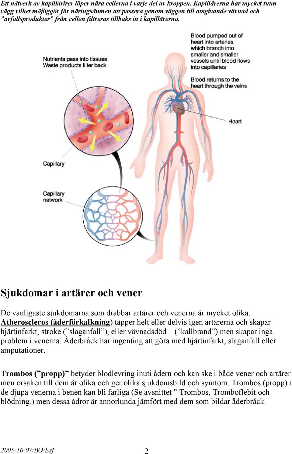 Sjukdomar i artärer och vener De vanligaste sjukdomarna som drabbar artärer och venerna är mycket olika.