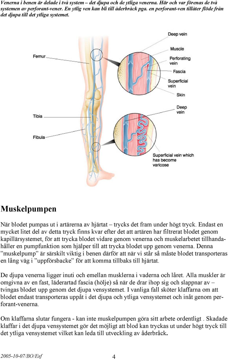 Endast en mycket litet del av detta tryck finns kvar efter det att artären har filtrerat blodet genom kapillärsystemet, för att trycka blodet vidare genom venerna och muskelarbetet tillhandahåller en