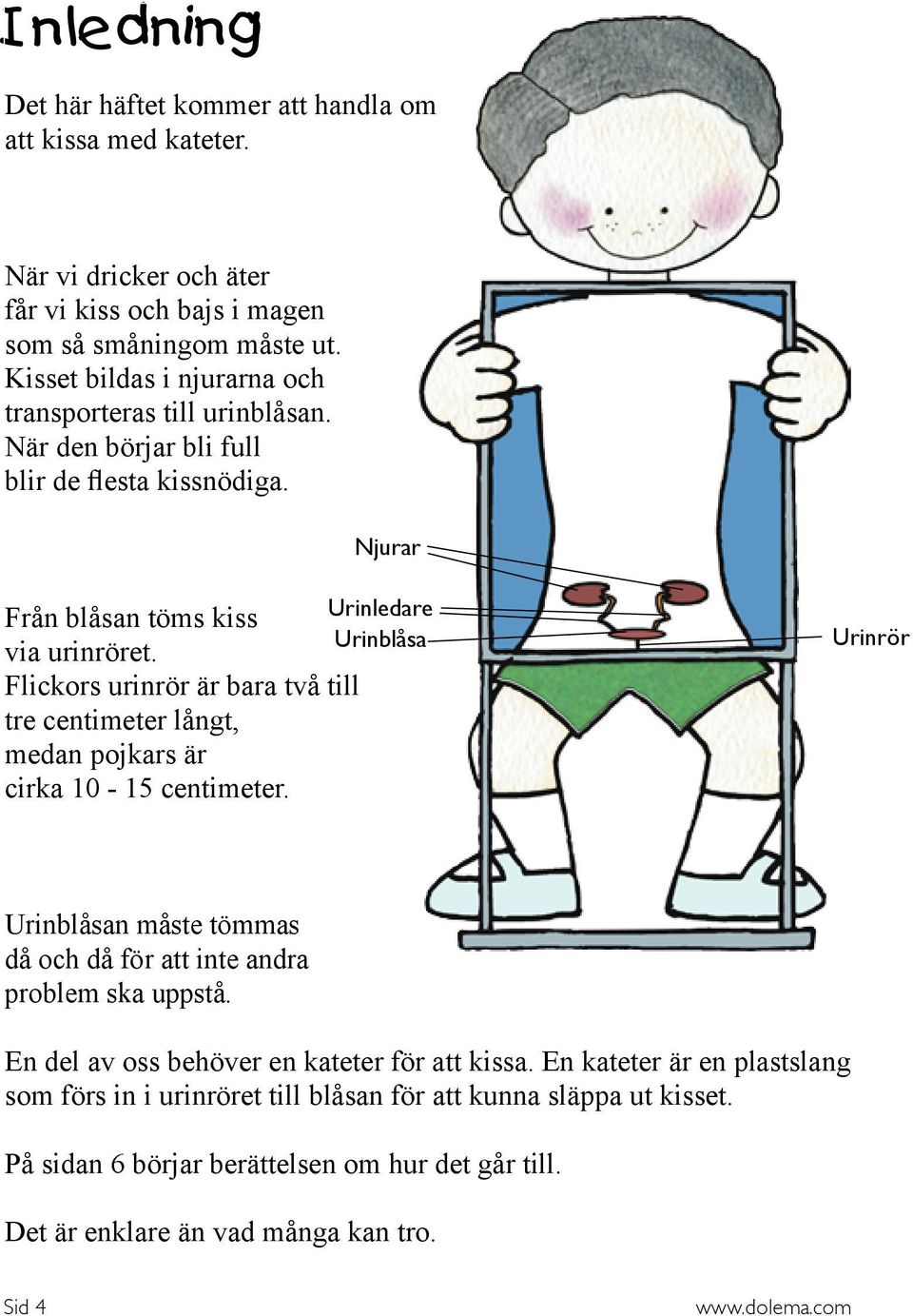 Flickors urinrör är bara två till tre centimeter långt, medan pojkars är cirka 10-15 centimeter. Urinrör Urinblåsan måste tömmas då och då för att inte andra problem ska uppstå.