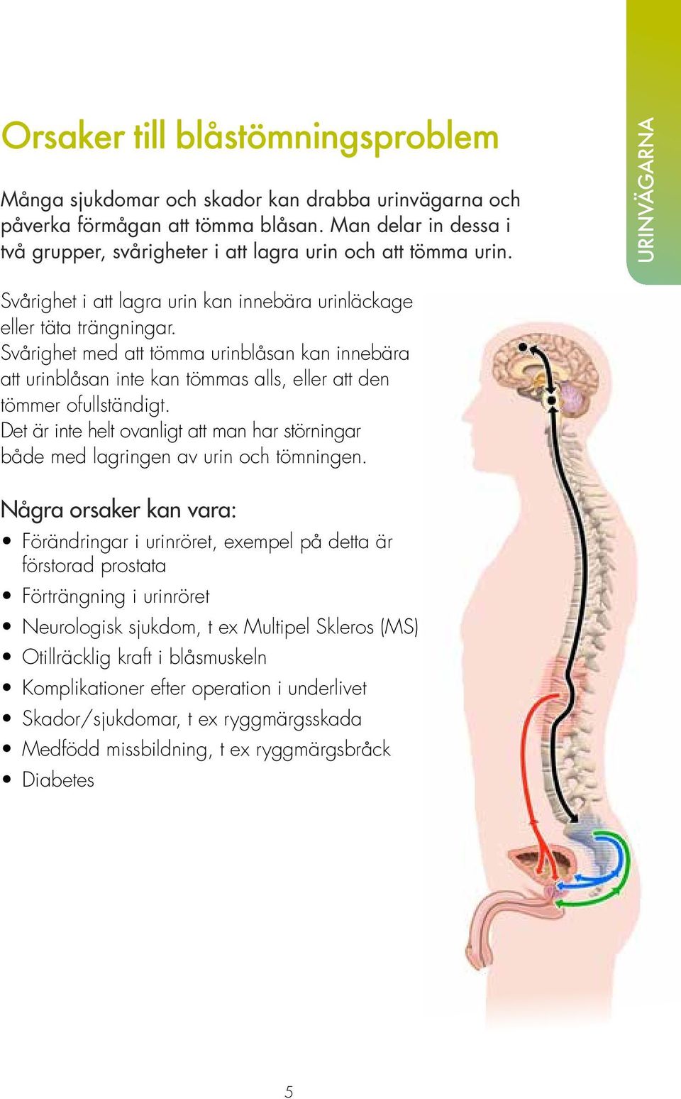 Svårighet med att tömma urinblåsan kan innebära att urinblåsan inte kan tömmas alls, eller att den tömmer ofullständigt.