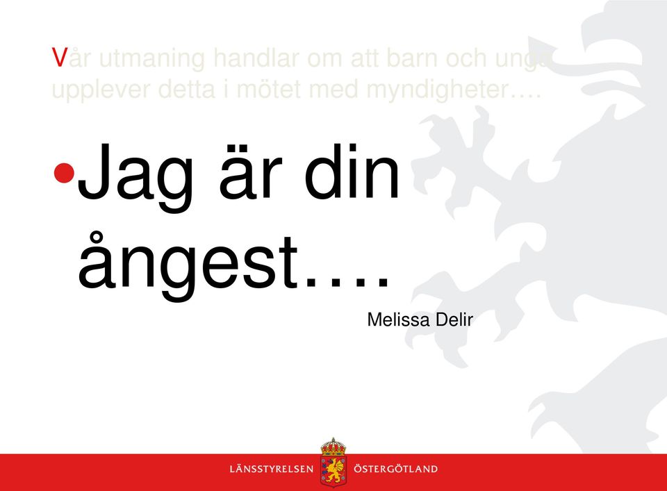 i mötet med myndigheter.