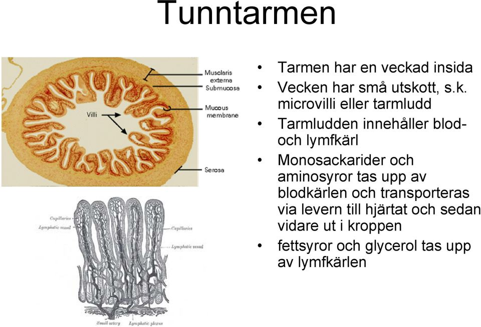 n har små utsko