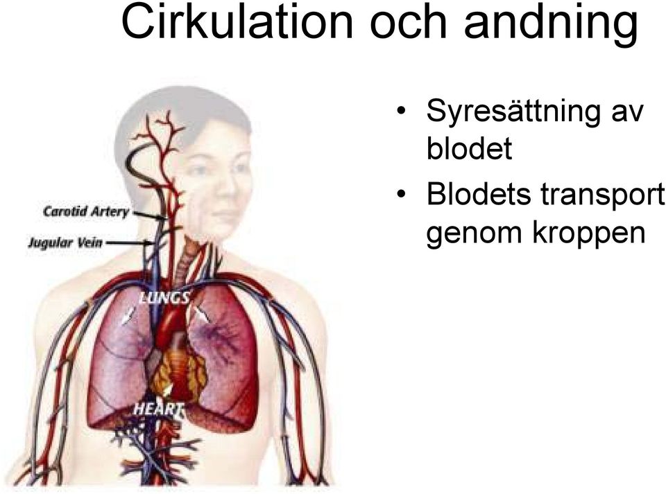 Syresättning av