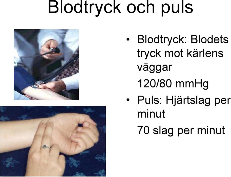 väggar 120/80 mmhg Puls: