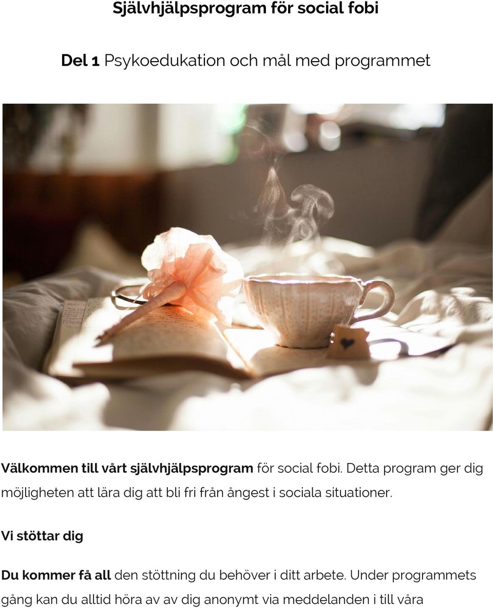 Detta program ger dig möjligheten att lära dig att bli fri från ångest i sociala situationer.