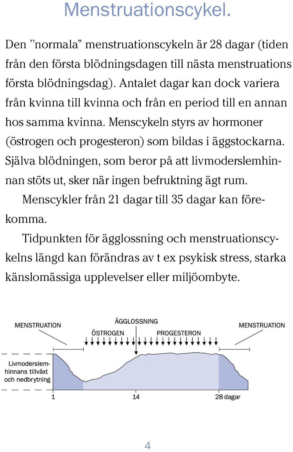 Menscykeln styrs av hormoner (östrogen och progesteron) som bildas i äggstockarna.