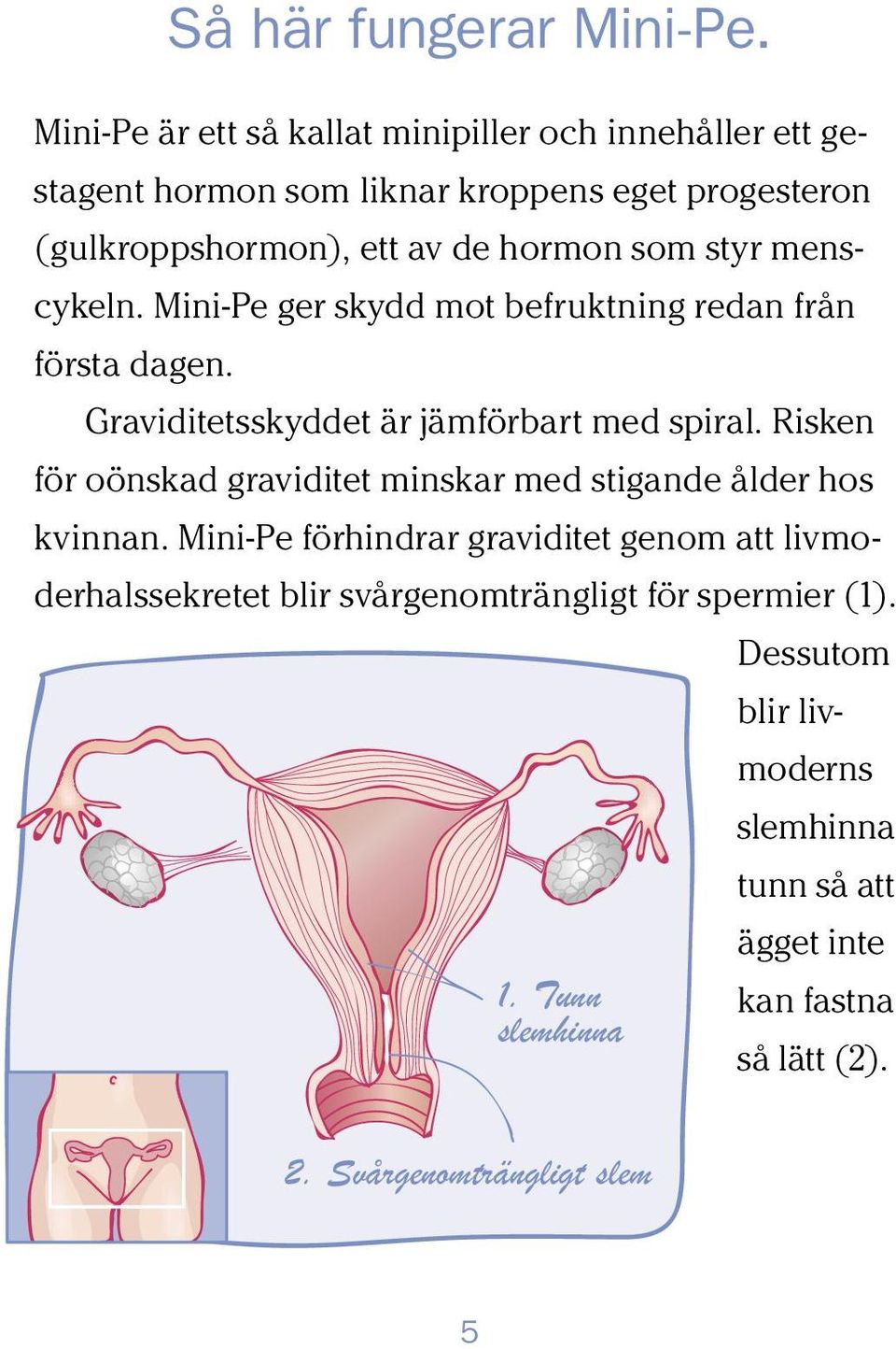 styr menscykeln. Mini-Pe ger skydd mot befruktning redan från första dagen. Graviditetsskyddet är jämförbart med spiral.