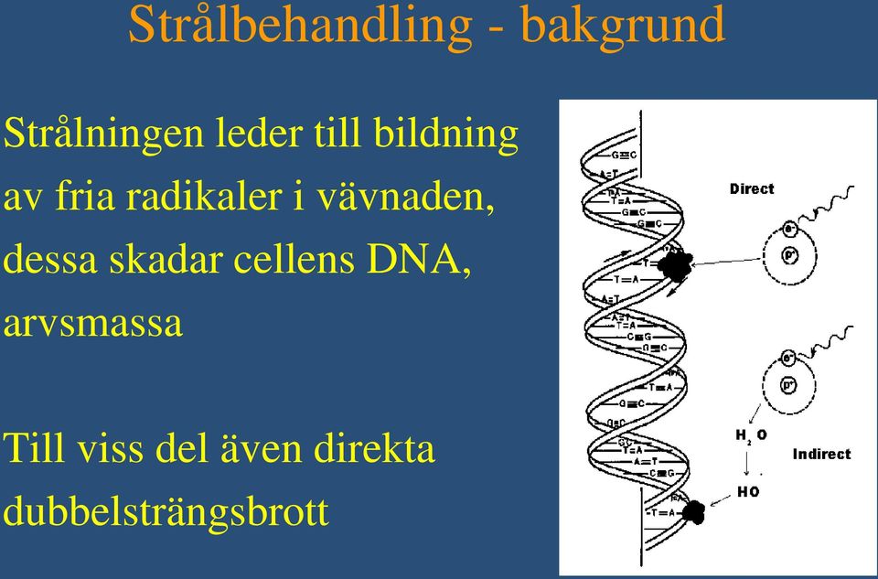 vävnaden, dessa skadar cellens DNA,