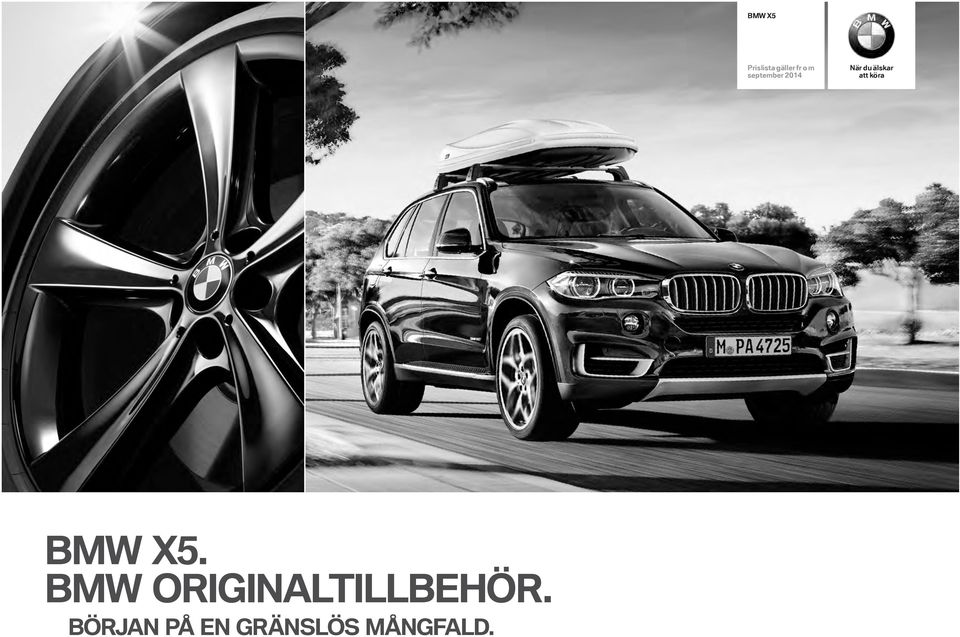 köra BMW X5.