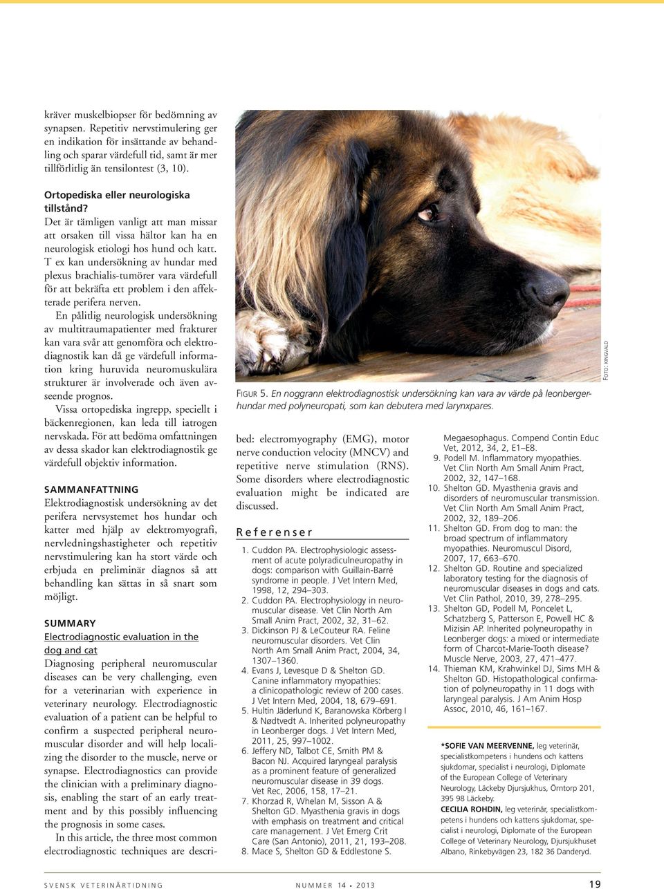 T ex kan undersökning av hundar med plexus brachialis-tumörer vara värdefull för att bekräfta ett problem i den affekterade perifera nerven.