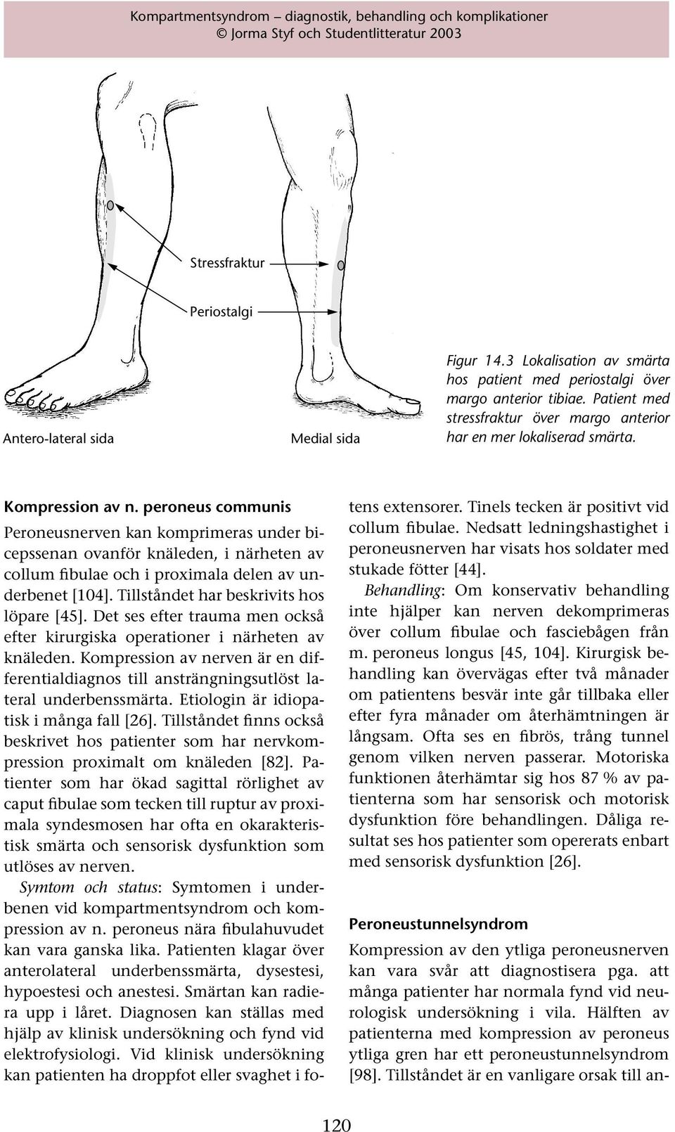 peroneus communis Peroneusnerven kan komprimeras under bicepssenan ovanför knäleden, i närheten av collum fibulae och i proximala delen av underbenet [104]. Tillståndet har beskrivits hos löpare [45].