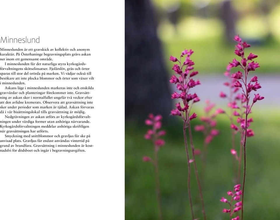 Vi vädjar också till besökare att inte plocka blommor och örter som växer vilt i minneslunden. Askans läge i minneslunden markeras inte och enskilda gravvårdar och planteringar förekommer inte.