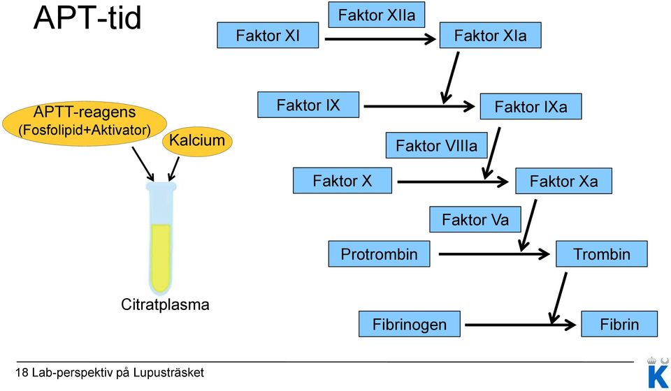 Faktor IXa Faktor X Faktor Xa Faktor Va Protrombin