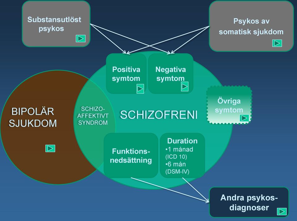 SYNDROM SCHIZOFRENI Övriga symtom Funktionsnedsättning