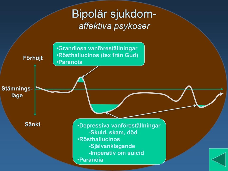 Stämningsläge Sänkt Depressiva vanföreställningar -Skuld,