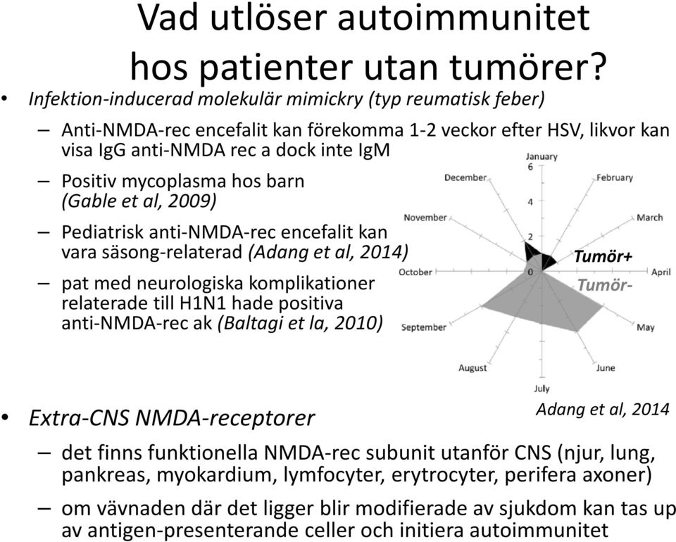 barn (Gable et al, 2009) Pediatrisk anti-nmda-rec encefalit kan vara säsong-relaterad (Adang et al, 2014) pat med neurologiska komplikationer relaterade till H1N1 hade positiva anti-nmda-rec ak