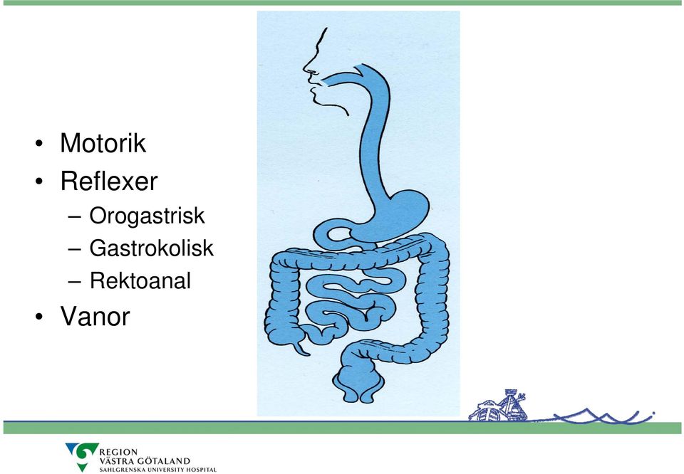 Orogastrisk