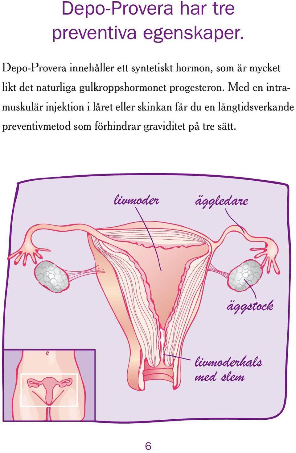 gulkroppshormonet progesteron.