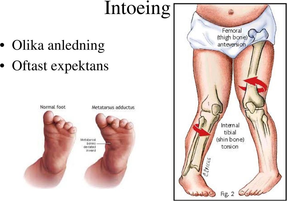 anledning