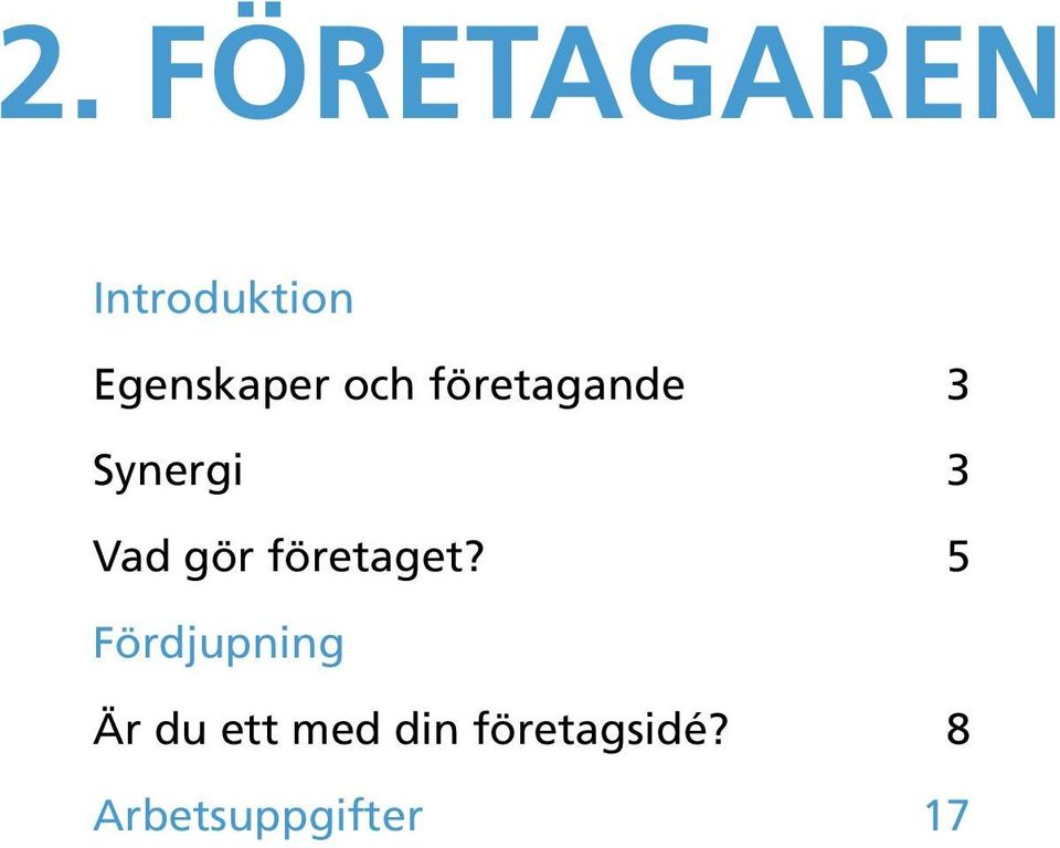3 Vad gör företaget?