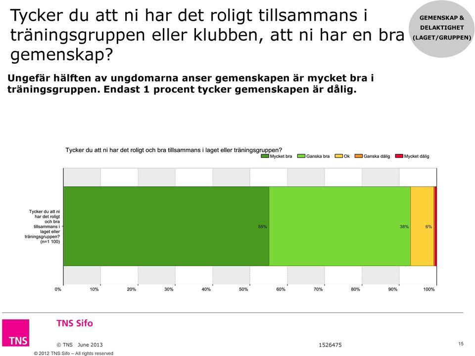 GEMENSKAP & DELAKTIGHET (LAGET/GRUPPEN) Ungefär hälften av