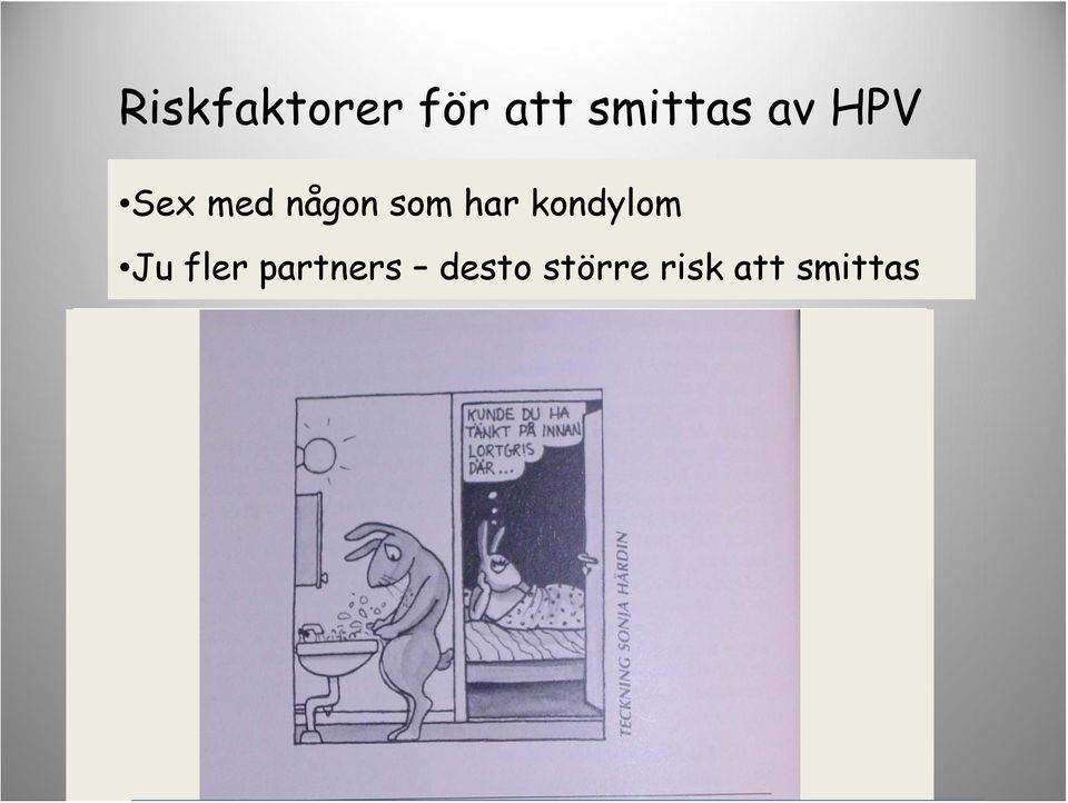 kondylom Ju fler partners