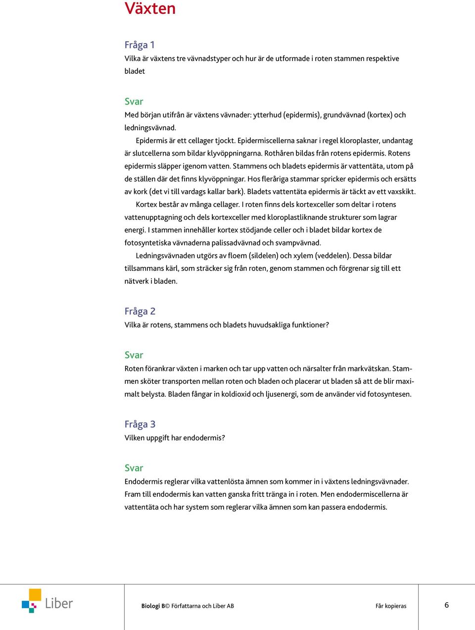 Rotens epidermis släpper igenom vatten. Stammens och bladets epidermis är vattentäta, utom på de ställen där det finns klyvöppningar.