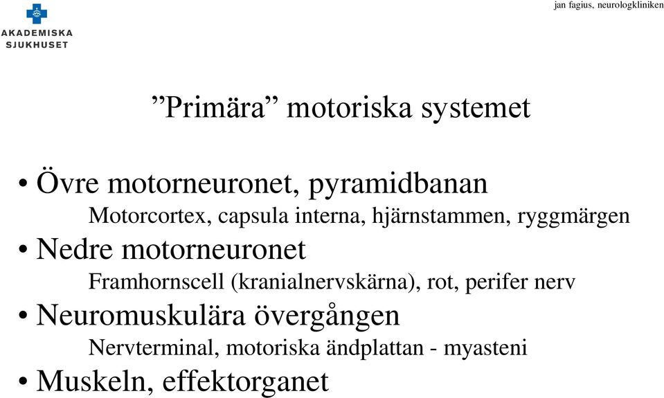 motorneuronet Framhornscell (kranialnervskärna), rot, perifer nerv