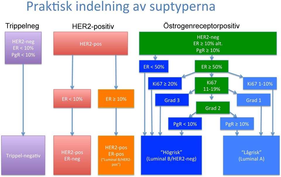 PgR 10% ER < 50% ER 50% Ki67 20% Ki67 11-19% Ki67 1-10% ER < 10% ER 10% Grad 3 Grad 2 Grad 1