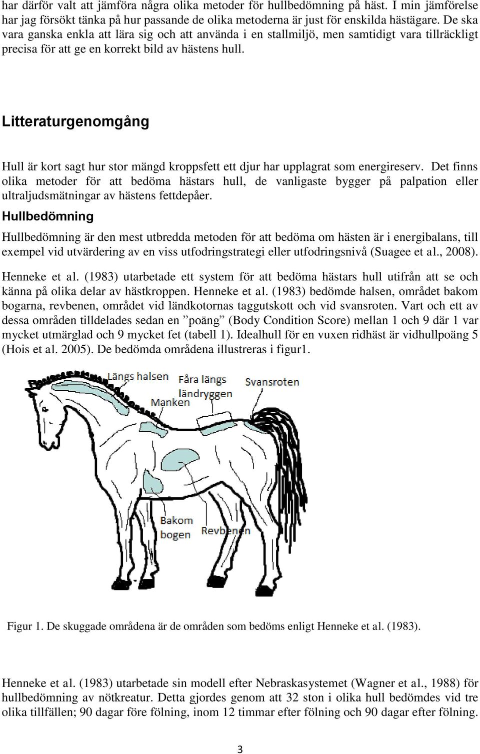 Litteraturgenomgång Hull är kort sagt hur stor mängd kroppsfett ett djur har upplagrat som energireserv.