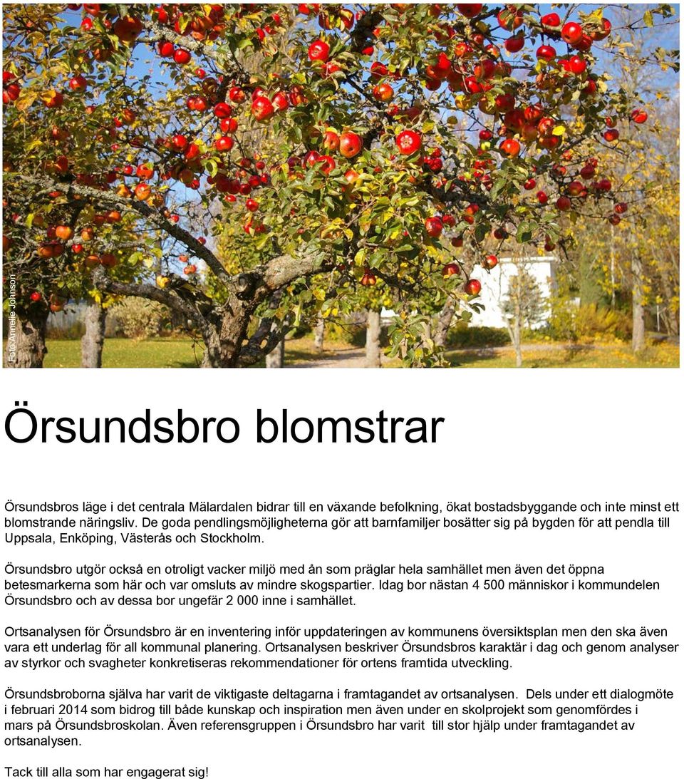 Örsundsbro utgör också en otroligt vacker miljö med ån som präglar hela samhället men även det öppna betesmarkerna som här och var omsluts av mindre skogspartier.