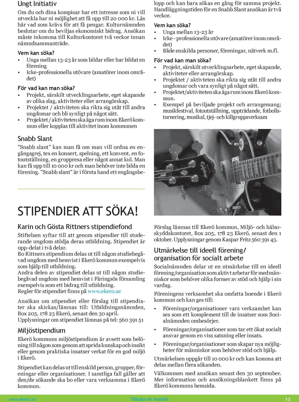 Unga mellan 13-23 år som bildar eller har bildat en förening Icke-professionella utövare (amatörer inom området) För vad kan man söka?