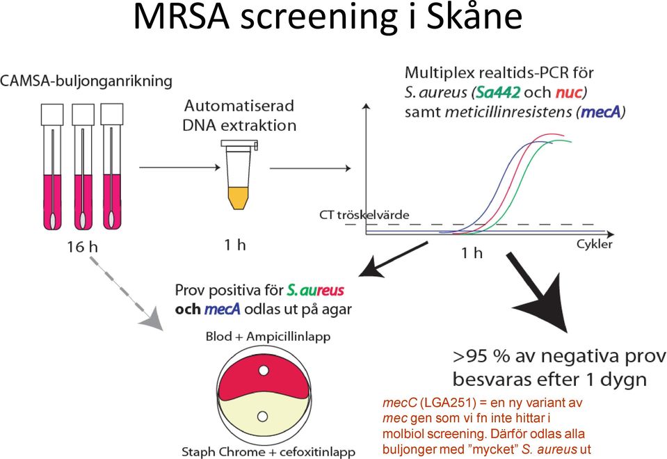 hittar i molbiol screening.