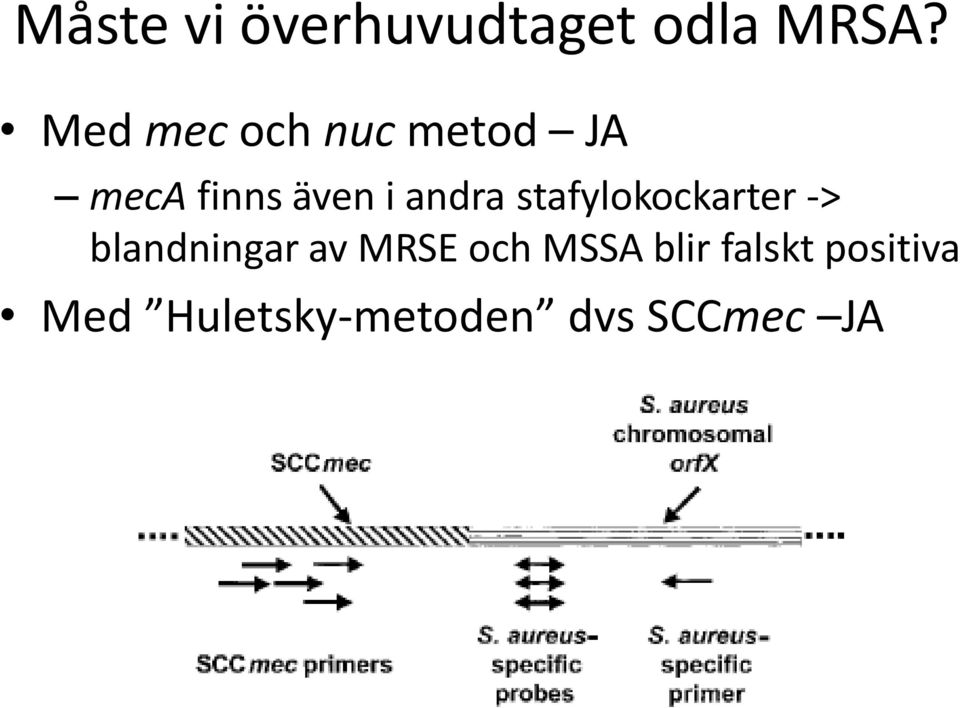 andra stafylokockarter -> blandningar av MRSE