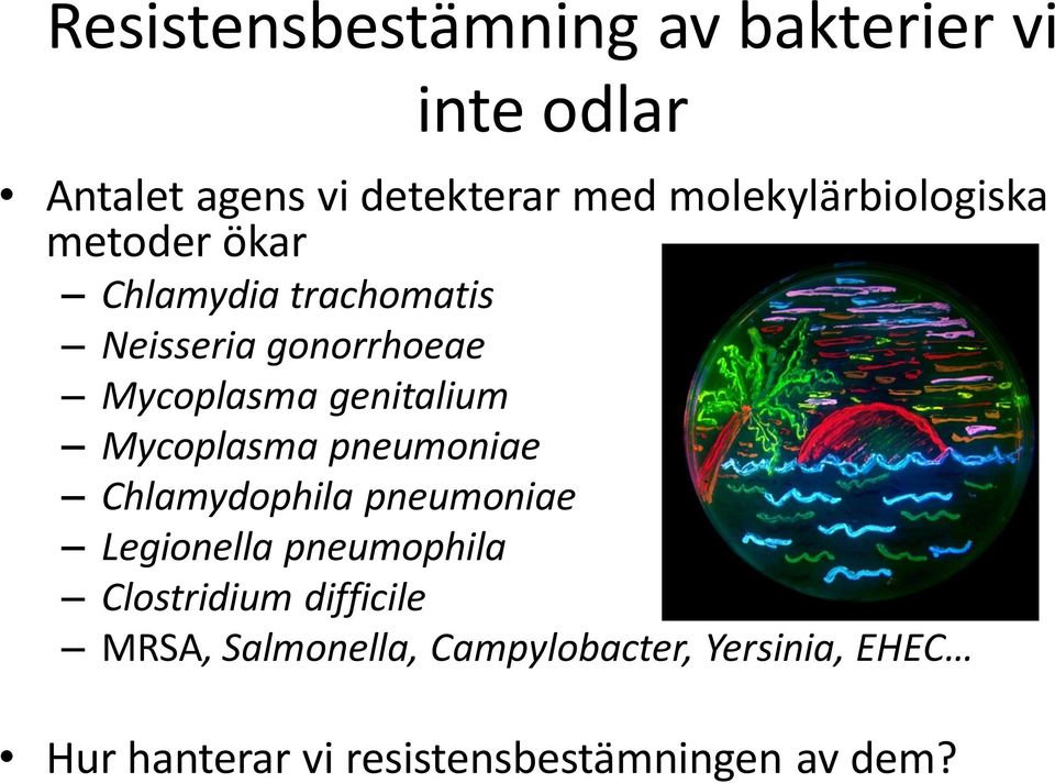 genitalium Mycoplasma pneumoniae Chlamydophila pneumoniae Legionella pneumophila