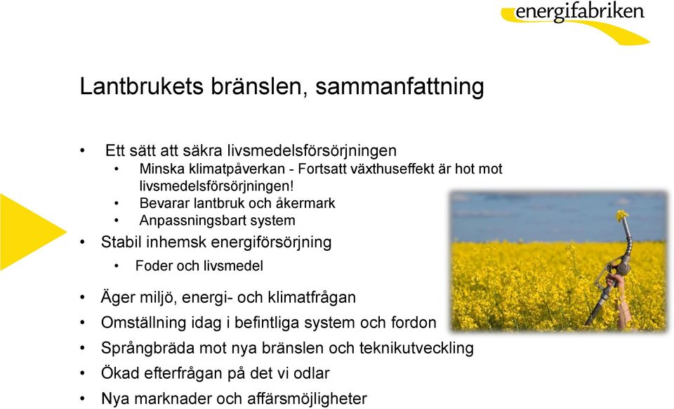 Bevarar lantbruk och åkermark Anpassningsbart system Stabil inhemsk energiförsörjning Foder och livsmedel Äger miljö,