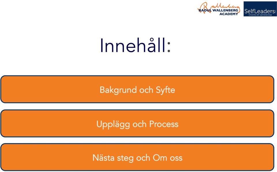 Syfte Upplägg och