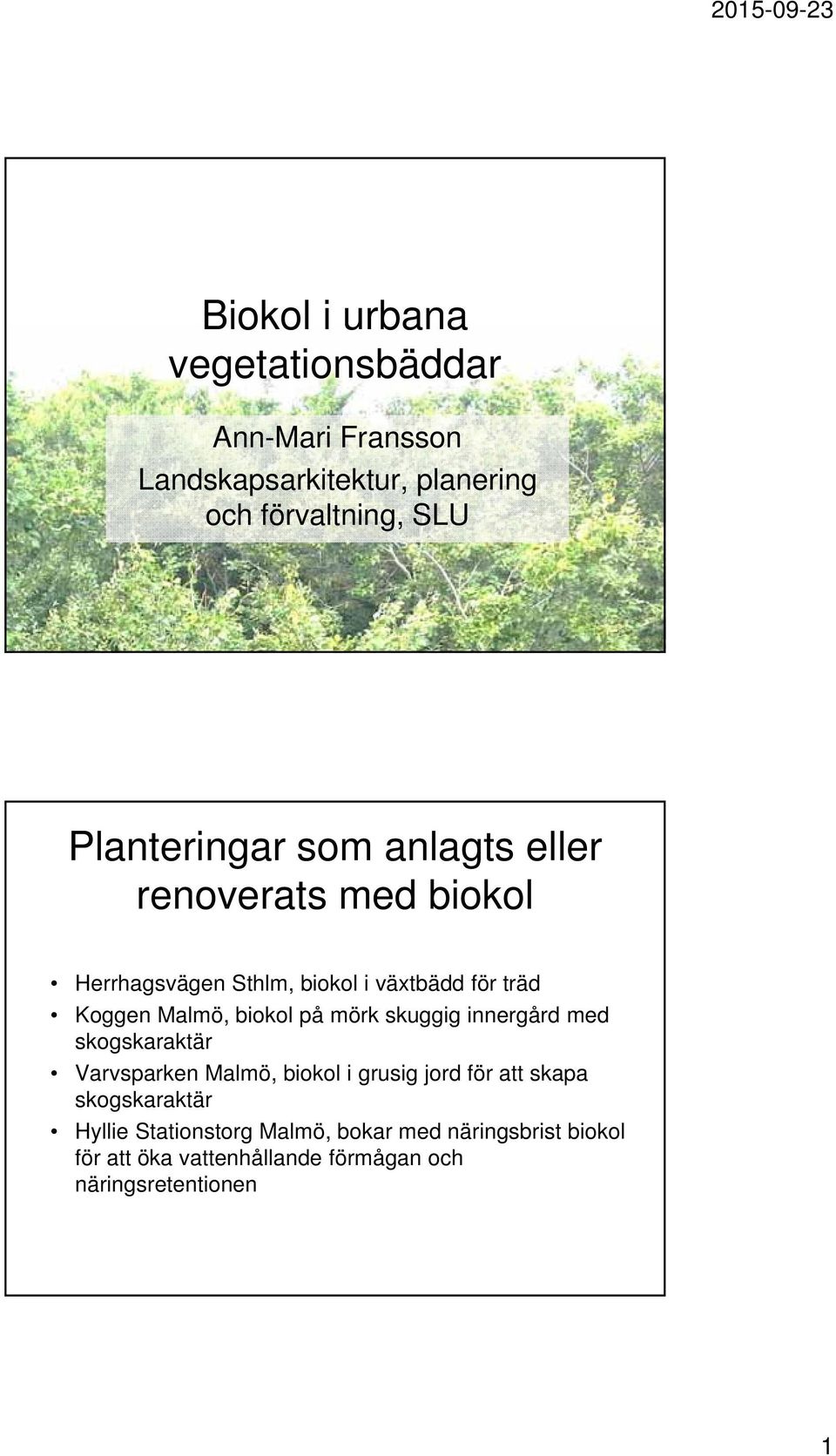 Malmö, biokol på mörk skuggig innergård med skogskaraktär Varvsparken Malmö, biokol i grusig jord för att skapa