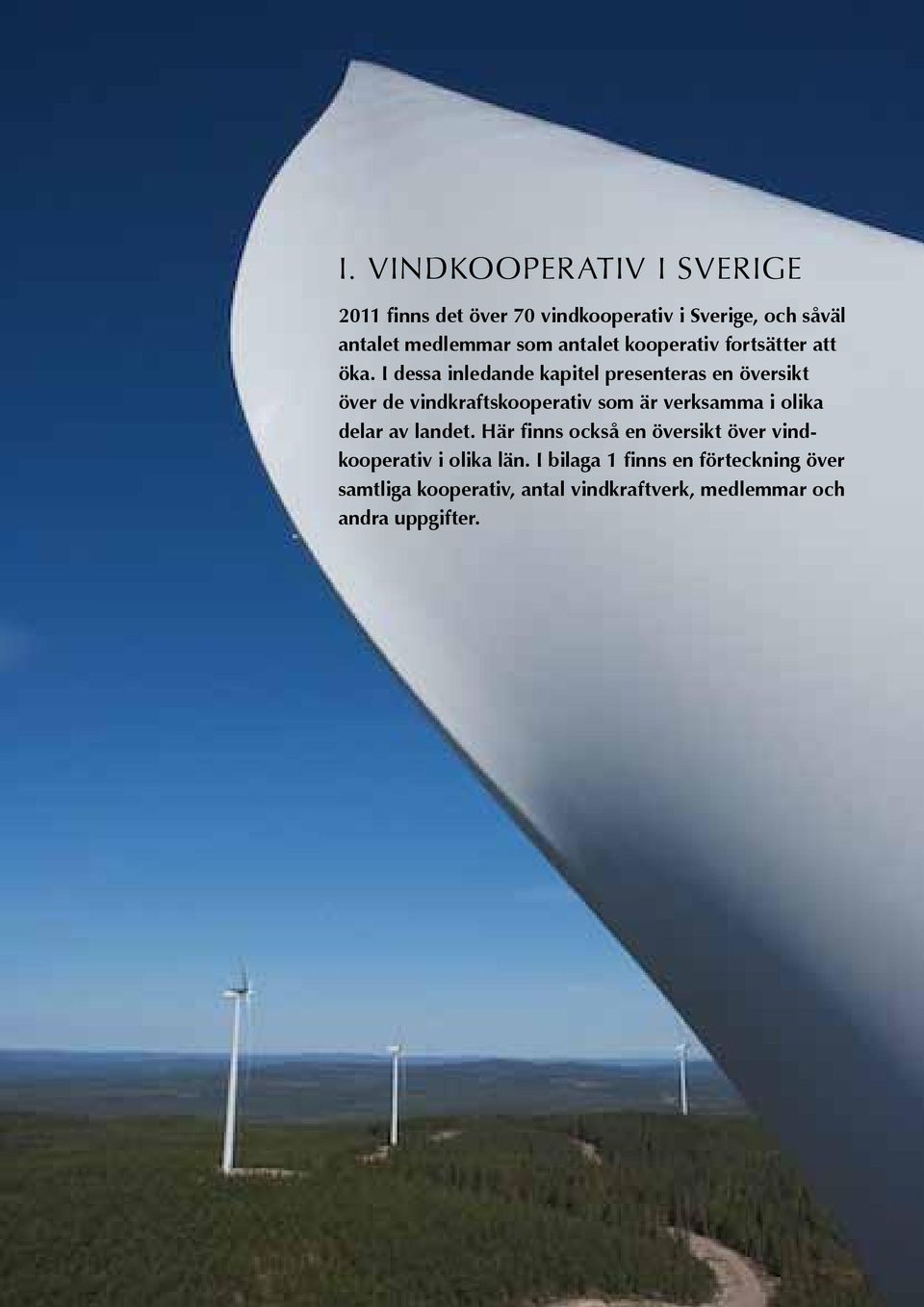 I dessa inledande kapitel presenteras en översikt över de vindkraftskooperativ som är verksamma i olika delar