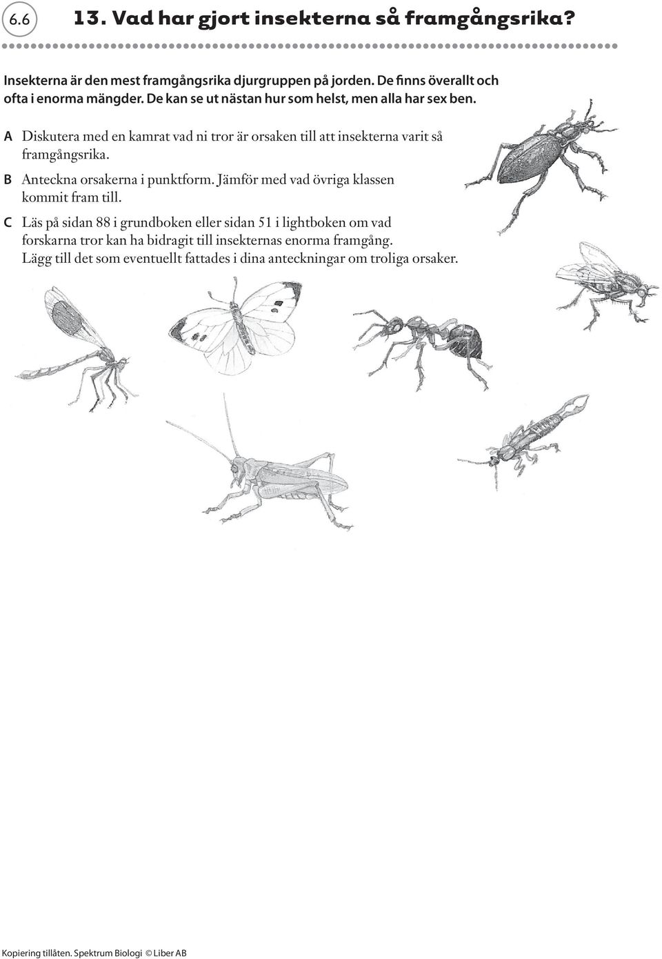 A Diskutera med en kamrat vad ni tror är orsaken till att insekterna varit så framgångsrika. B Anteckna orsakerna i punktform.