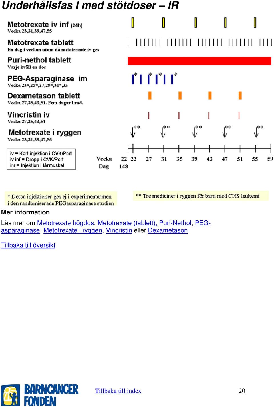 Puri-Nethol, PEGasparaginase, Metotrexate i ryggen,