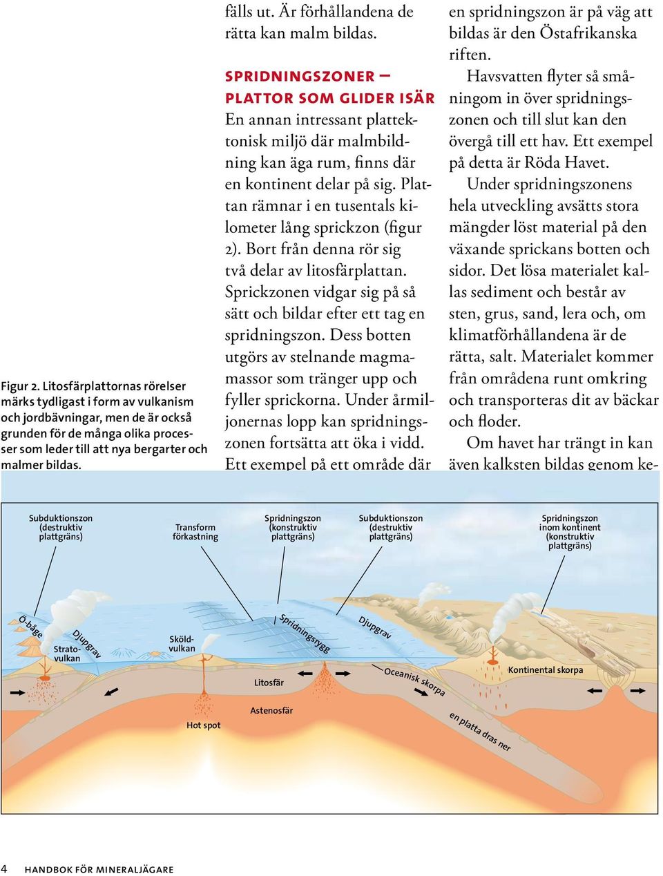 Plattan rämnar i en tusentals kilometer lång sprickzon (figur 2). Bort från denna rör sig två delar av litosfärplattan. Sprickzonen vidgar sig på så sätt och bildar efter ett tag en spridningszon.