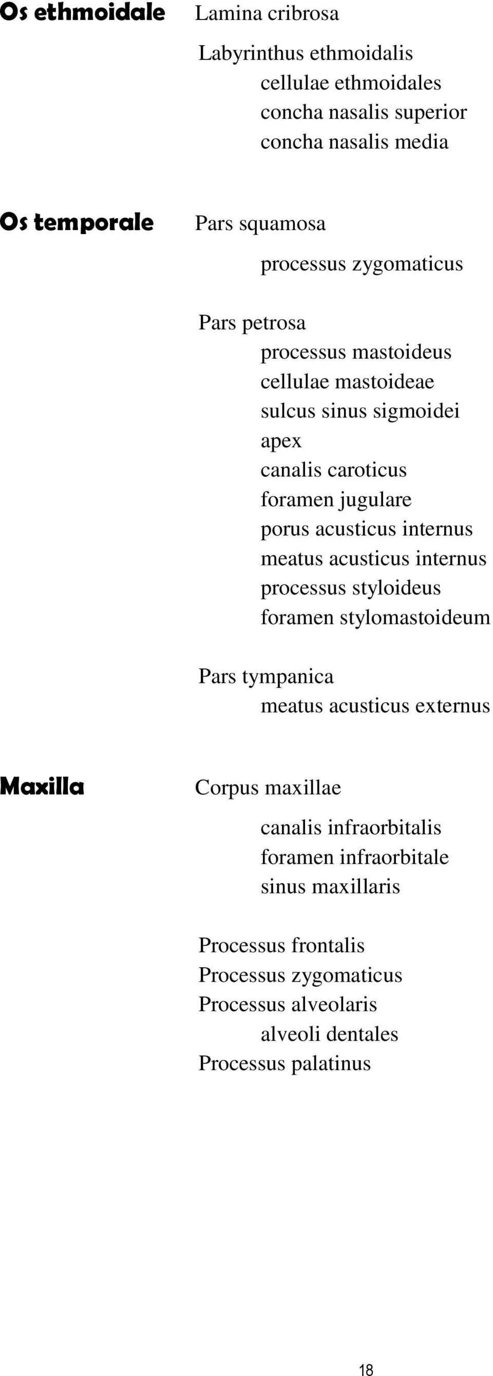 acusticus internus meatus acusticus internus processus styloideus foramen stylomastoideum Pars tympanica meatus acusticus externus Maxilla Corpus