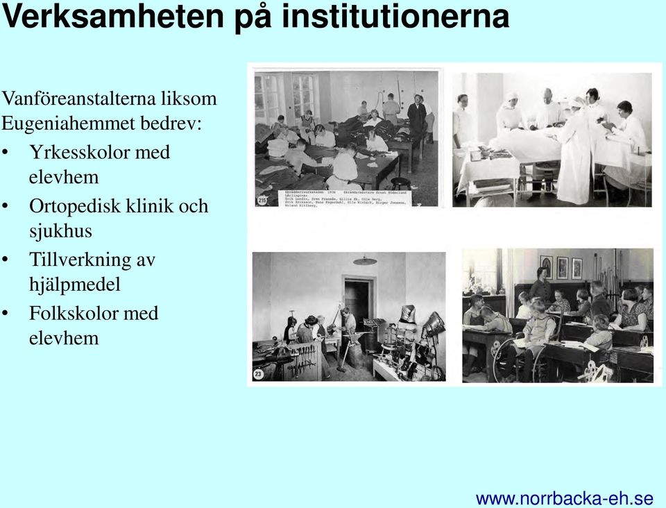 bedrev: Yrkesskolor med elevhem Ortopedisk