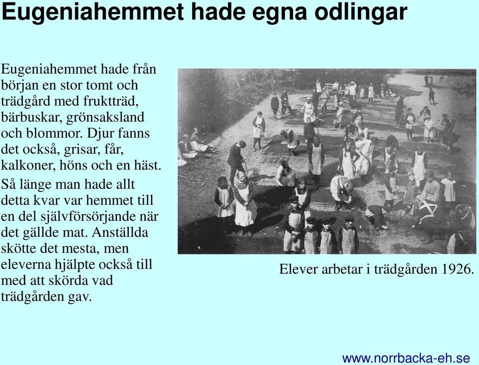Så länge man hade allt detta kvar var hemmet till en del självförsörjande när det gällde mat.