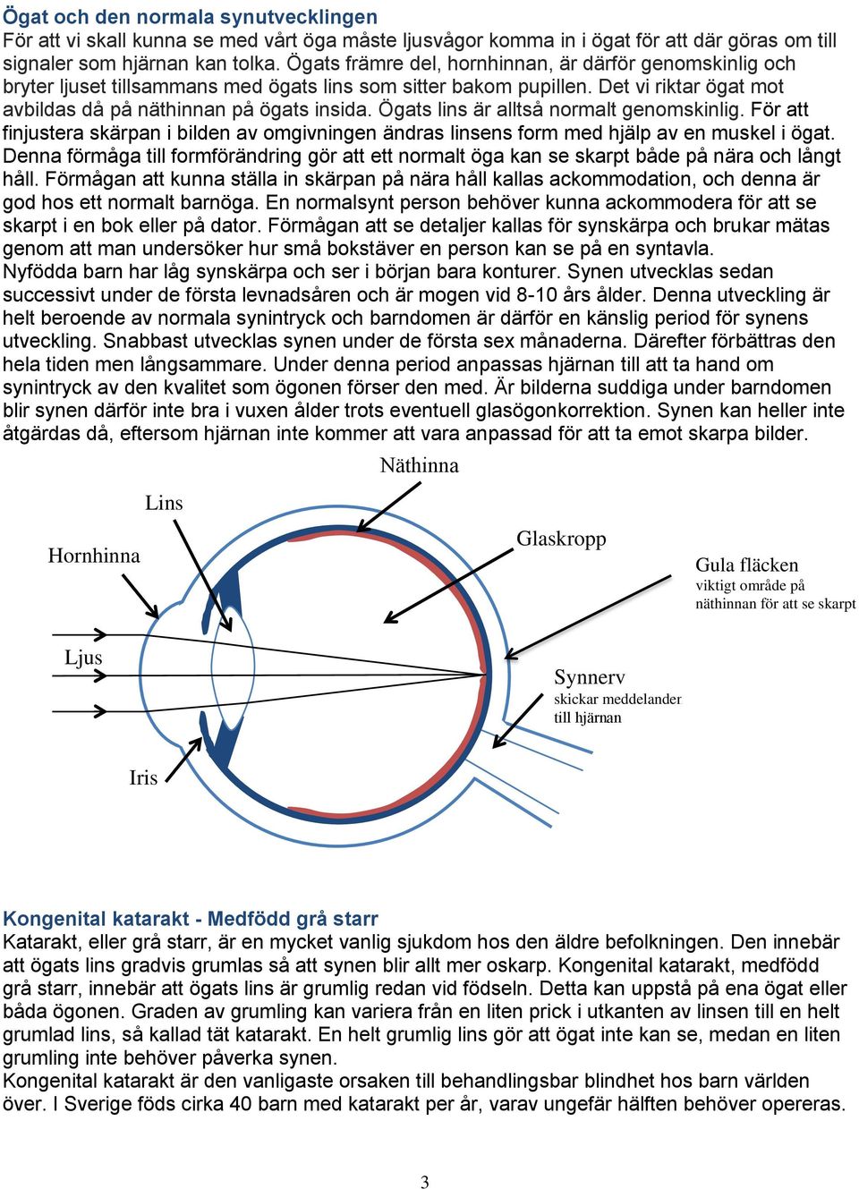 Ögats lins är alltså normalt genomskinlig. För att finjustera skärpan i bilden av omgivningen ändras linsens form med hjälp av en muskel i ögat.